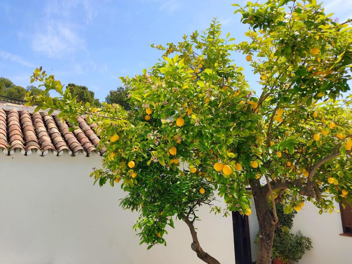 Villa Casa El Patio Del Limon, Con Piscina à Montecorto Extérieur photo