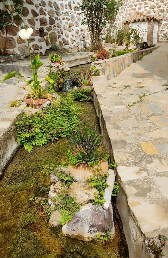 Villa Casa El Patio Del Limon, Con Piscina à Montecorto Extérieur photo